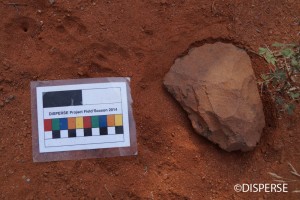 Fig. 5. ESA basalt cleaver found in a base of a quarry, Jizan Province. Photo: G. Bailey, 2014