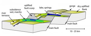 Tectonic cartoon